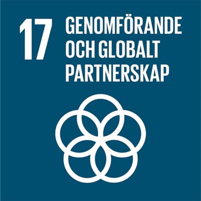 17-mal-17-genomforande-globalt-partnerskap