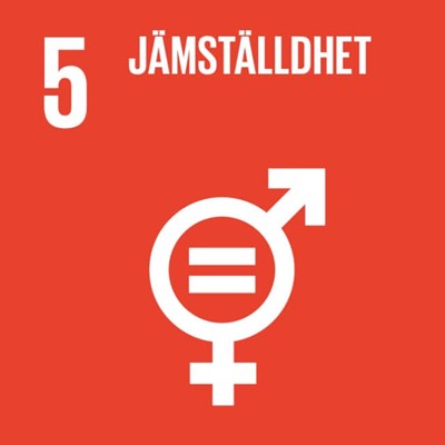 05-jamstalldhet